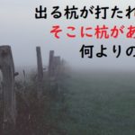 打たれる前の杭たち